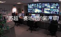 “苏超”赛场用的国产草，到底有多能打？