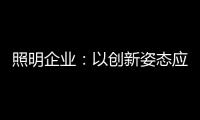 照明企业
：以创新姿态应对逆境 提升附加值