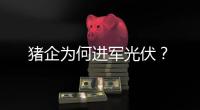 猪企为何进军光伏？