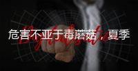 危害不亚于毒蘑菇，夏季吃海鲜小心贝类中毒