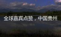 全球嘉宾点赞	，中国贵州正点绿成“金”