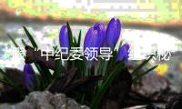 假“中纪委领导”组织秘密审讯案追踪：八狱警获罪，厅长供述首次公开