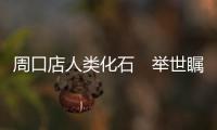 周口店人类化石　举世瞩目