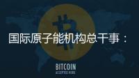 国际原子能机构总干事：支持伊美就核问题举行谈判