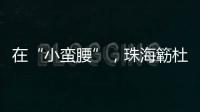 在“小蛮腰”，珠海簕杜鹃灿烂绽放！