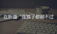 快排公司十年历程，霸屏兔 seo 的崛起与坚守