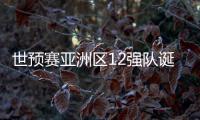 世预赛亚洲区12强队诞生
！中日韩澳伊齐聚