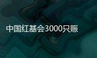 中国红基会3000只赈济家庭箱驰援云南、青海地震灾区