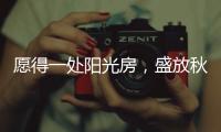 愿得一处阳光房，盛放秋日的美好时光!