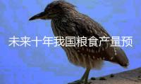未来十年我国粮食产量预计年均增长1.2%