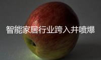 智能家居行业跨入井喷爆发期
，TCL智能门锁抢夺先机