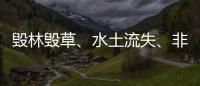 毁林毁草、水土流失、非法采矿……中央生态环保督察集中通报3省区典型案例