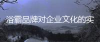 浴霸品牌对企业文化的实现具有重要意义
