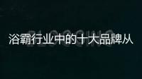 浴霸行业中的十大品牌从“简单”开始创新
