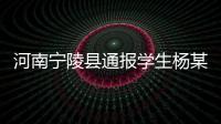 河南宁陵县通报学生杨某某坠亡事件：未发现欺凌情况