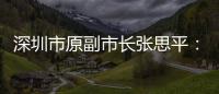 深圳市原副市长张思平�：国有企业要有所为有所不为