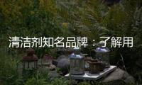 清洁剂知名品牌：了解用户需求 注重市场反馈