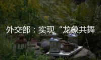外交部：实现“龙象共舞”是中印两国唯一正确的选择