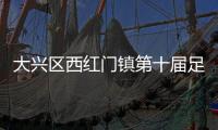 大兴区西红门镇第十届足球联赛圆满落下帷幕