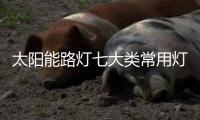 太阳能路灯七大类常用灯具指南，必看!