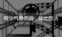 奢华气息侧漏，如此简洁竟还显得这么高贵!