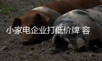 小家电企业打低价牌 容易扰乱市场