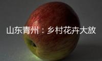 山东青州�：乡村花卉大放异彩 以花为“媒”趟出致富路