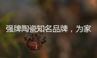 强牌陶瓷知名品牌�，为家居添加几何素色色彩