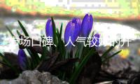 市场口碑、人气较好的开关插座品牌有哪些?