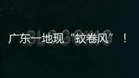 广东一地现“蚊卷风”�！网友：头皮发麻
