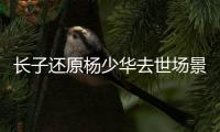 长子还原杨少华去世场景	！头晕送医半路离世，杨议隐瞒细节惹争议
