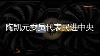陶凯元委员代表民进中央发言：呵护青少年心理健康助推健康中国建设