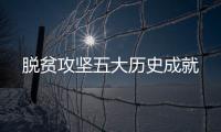 脱贫攻坚五大历史成就