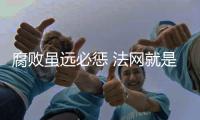腐败虽远必惩 法网就是天网