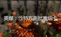英媒：沙特方面批准纽卡高价签伊兰加，目标还包括格伊等国脚球员