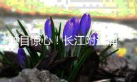 触目惊心	！长江附近涌“牛奶水”
、10万吨污泥埋田……
