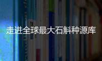 走进全球最大石斛种源库：探索野生石斛种质资源异地保护