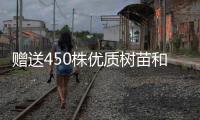 赠送450株优质树苗和花苗，珠海城管部门助力茂名美丽乡村建设