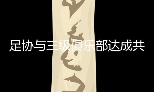 乐部并获得国际足联支持