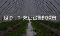 足协�：补充征召鲁能球员刘洋入选国足集训名单