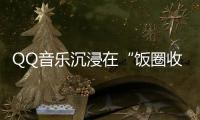 QQ音乐沉浸在“饭圈收割”艺术里