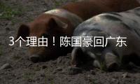 3个理由
！陈国豪回广东倒计时
，联手郭艾伦，朱芳雨被1个执念困住